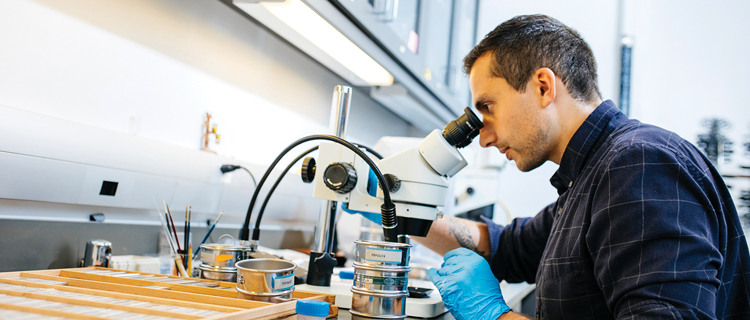 A man in a lab looking through a microscope with focused attention.