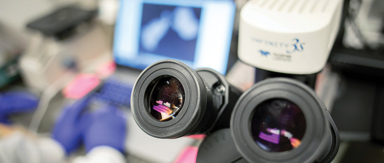 A microscope with two lenses is focused in the foreground, and someone working on a laptop is blurry in the background.